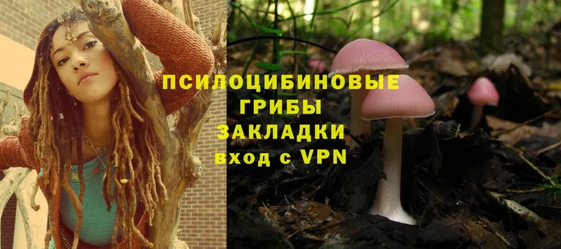 Галлюциногенные грибы MAGIC MUSHROOMS  Карабаш 